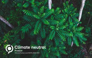 Green plant in the rainforest with Climate Neutral text on the bottom left