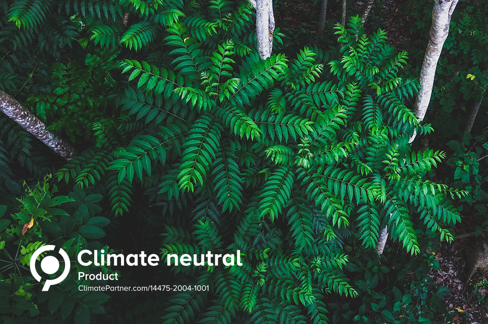 Green plant in the rainforest with Climate Neutral text on the bottom left