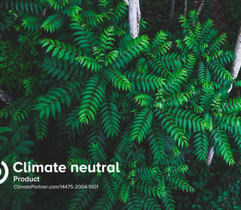 Green plant in the rainforest with Climate Neutral text on the bottom left