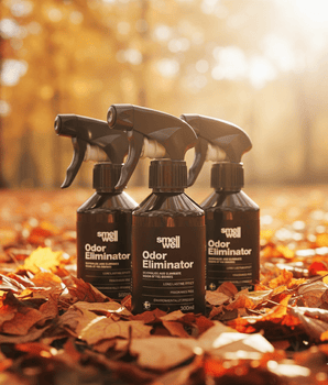 Fall Odor Eliminator 3 Pack