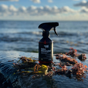 Fall Odor Eliminator 3 Pack